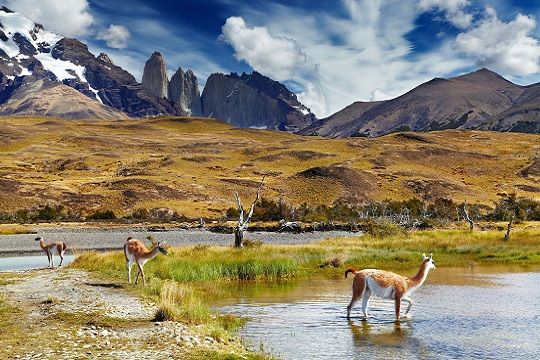 Conservación de la biodiversidad en serio